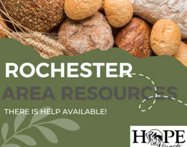 Rochester-Resources-768x644