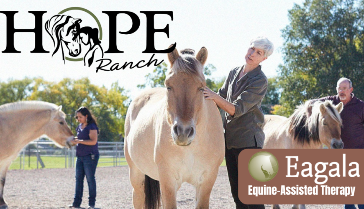 Unleashing Healing with the EAGALA Method: A Closer Look at Equine-Assisted Therapy at HOPE Ranch