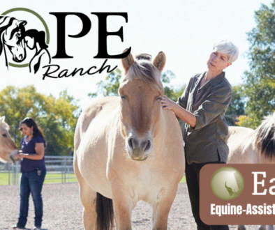 Unleashing Healing with the EAGALA Method: A Closer Look at Equine-Assisted Therapy at HOPE Ranch